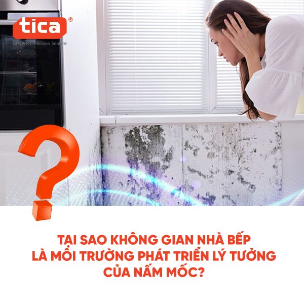 Cách-chống-mốc-hiệu-quả-cải-tạo-không-gian-nhà-bếp-bền-đẹp-ảnh-con