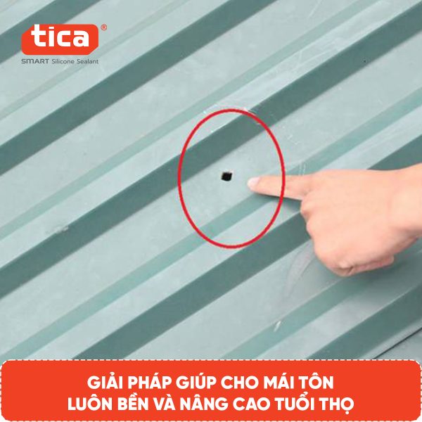 Cách nhận biết mái tôn bị dột chỉ qua vài mẹo đơn giản​