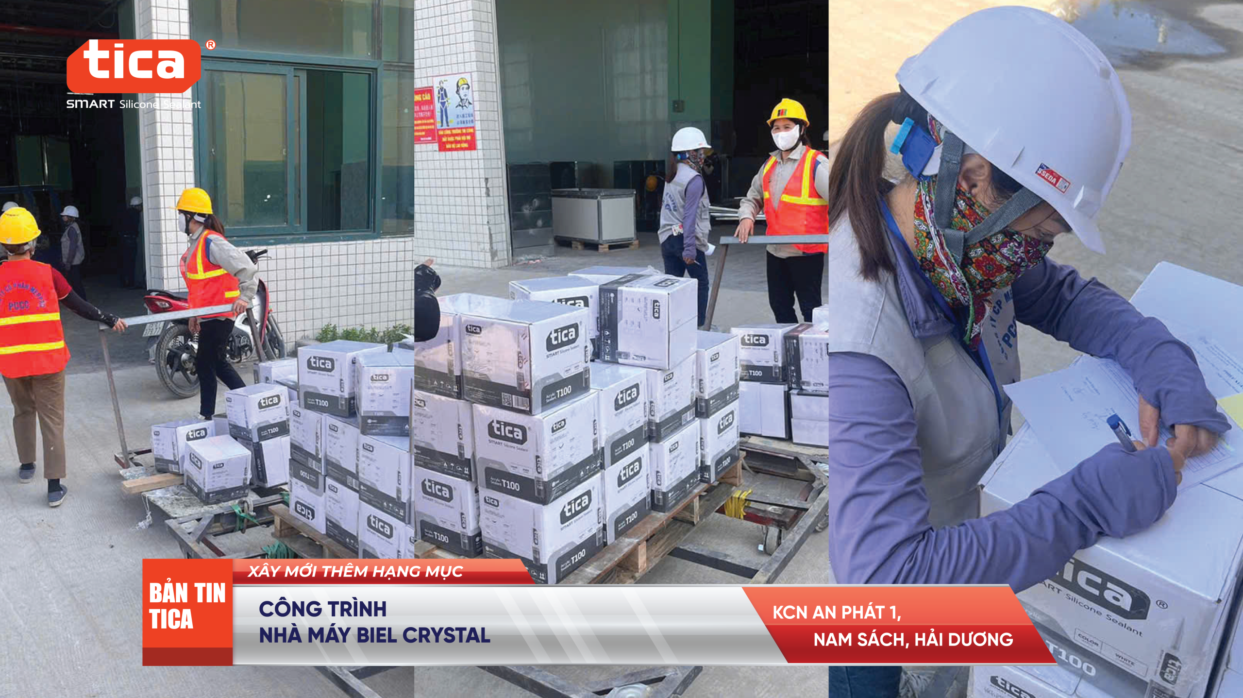 Tica gắn kết - Biel Crystal