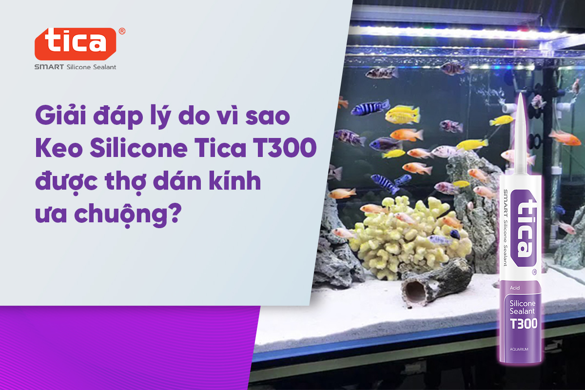 Giải đáp lý do vì sao Keo Silicone Tica T300 được thợ dán kính ưa chuộng?